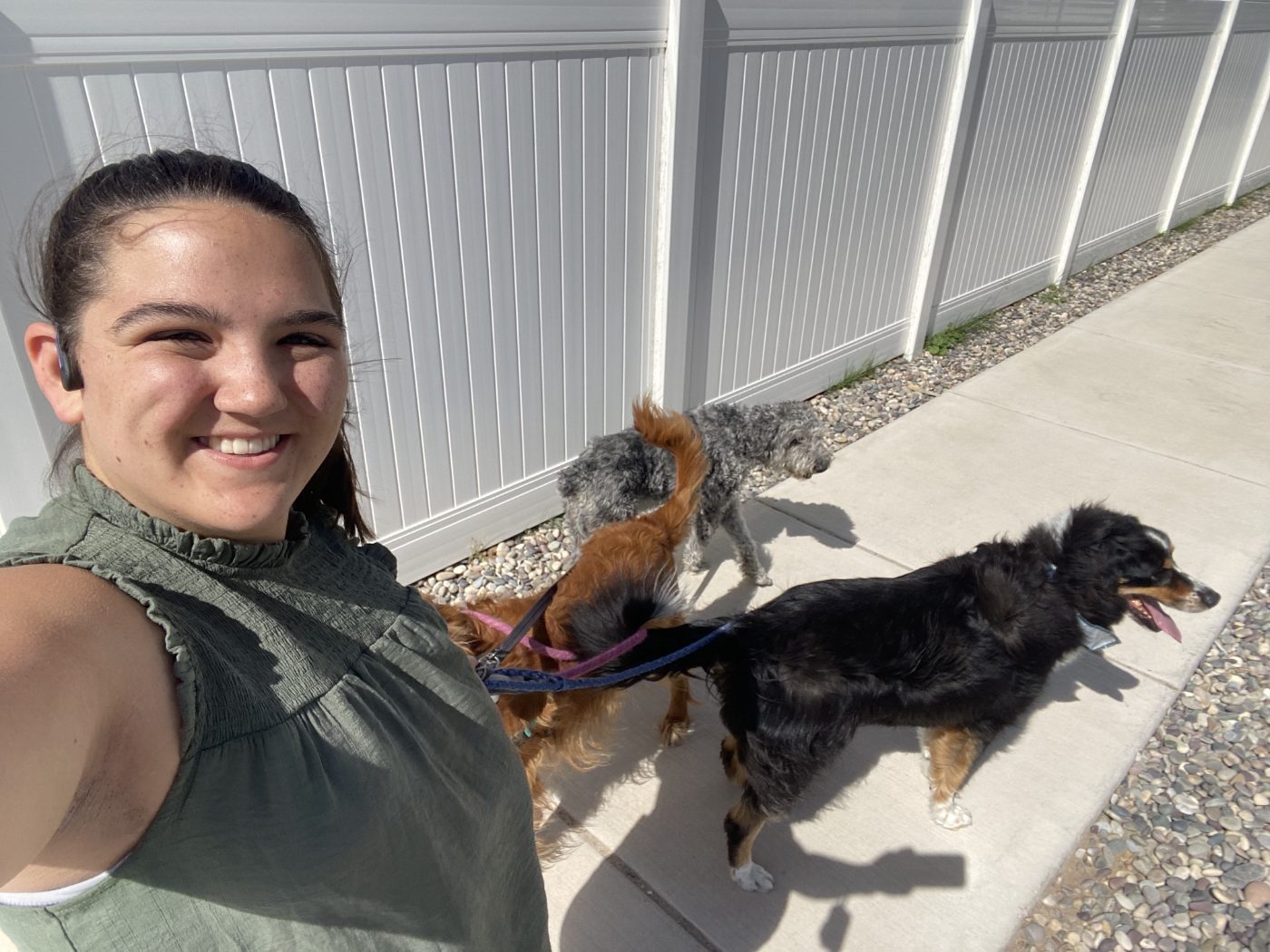 Three dogs walking together on leash with Lillie