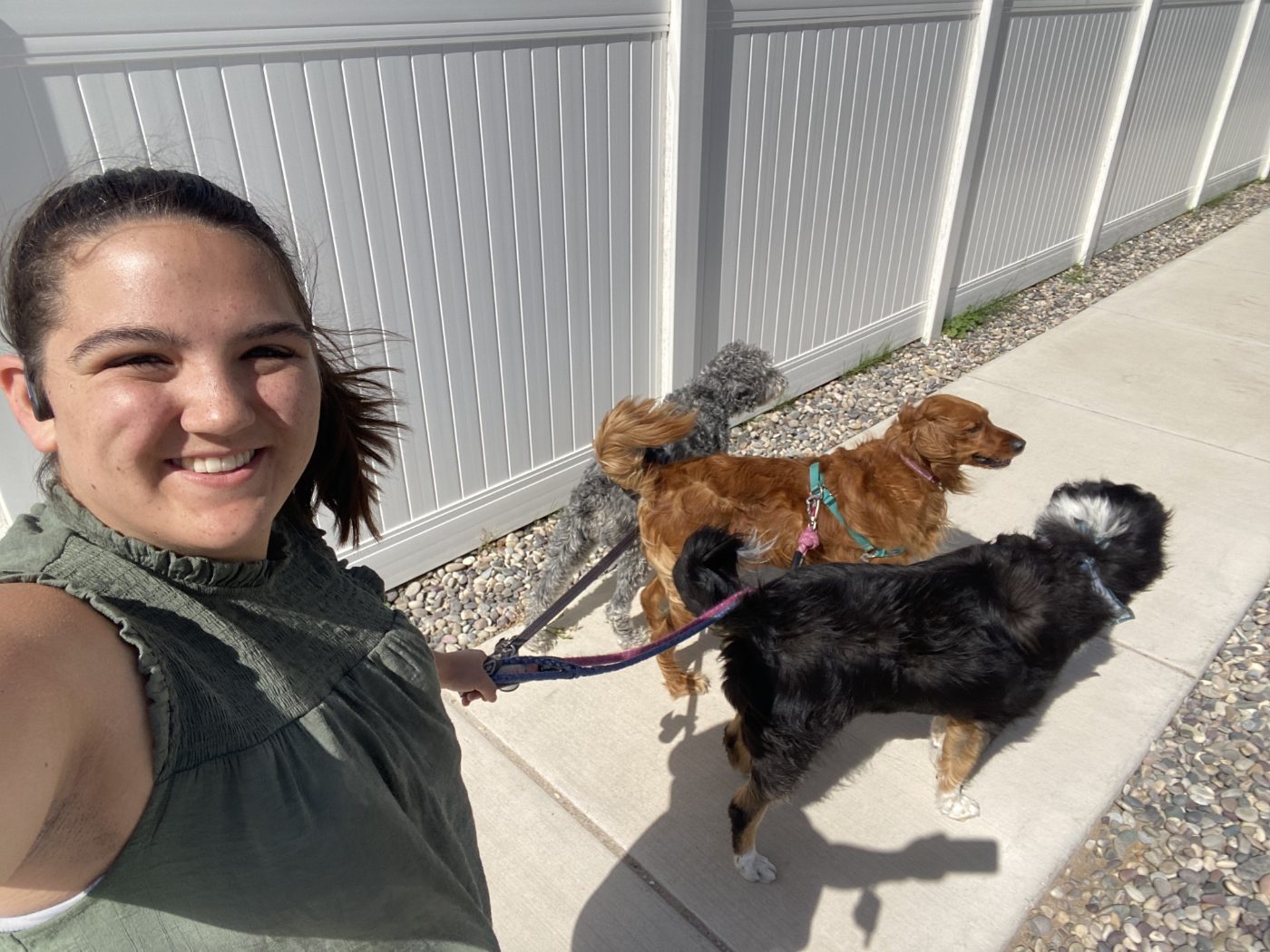 Lillie walking three dogs on leash along a neighborhood sidewalk in Logan, Utah